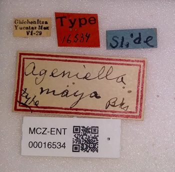 Media type: image;   Entomology 16534 Aspect: labels